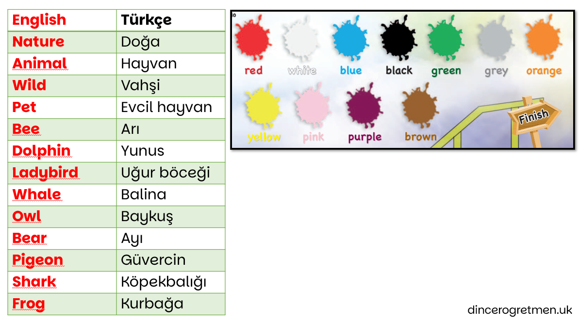 3. Sınıf 10. Ünite Kelime Bilgisi