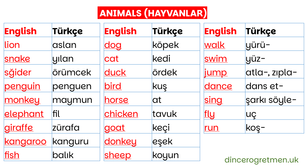 2. Sınıf 10. Ünite (Animals)